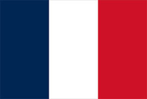 we-are-providing-services-flag-7